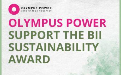 Proud sponsor of the BII Sustainability Champion Award